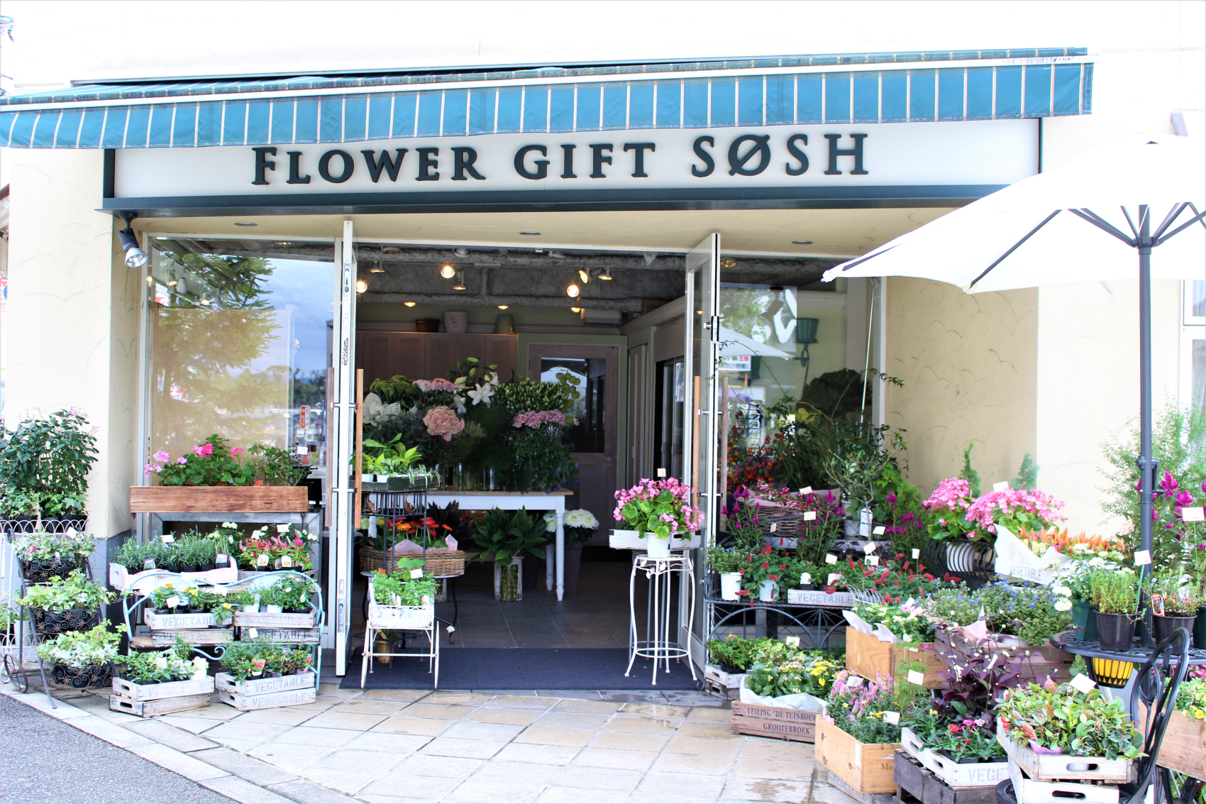 豊中ロマンチック街道の花屋SOSH